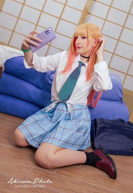 Elycoris art star image