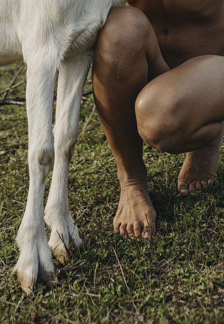 Julia Slip xxx actress galleries