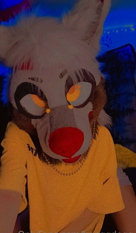 Bonggdogg pornstar sexy image