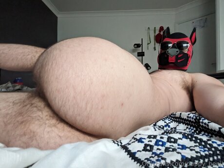 Pup Benji model pretty image