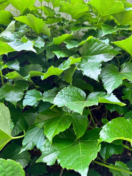 open pussy onlyfans sexy nudes pics