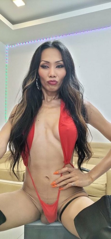 transsohot star nice archive