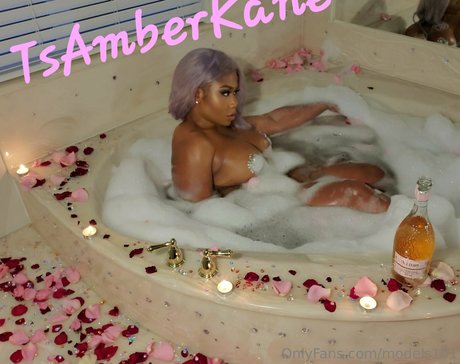 models101 perfect model images