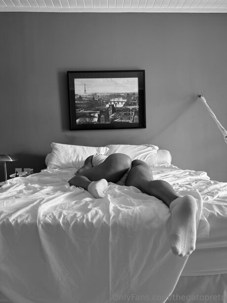 Zaah Wayne_ pornographic actress picture