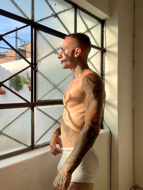 Facundo Avila model perfect galleries