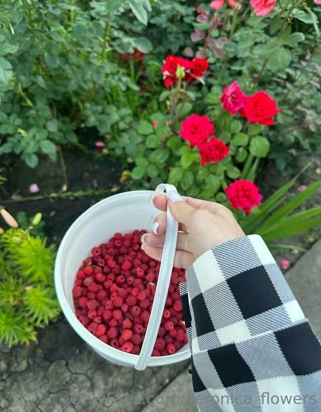 veronica flowers hd model pic