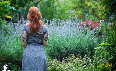 Annalee hd star archive