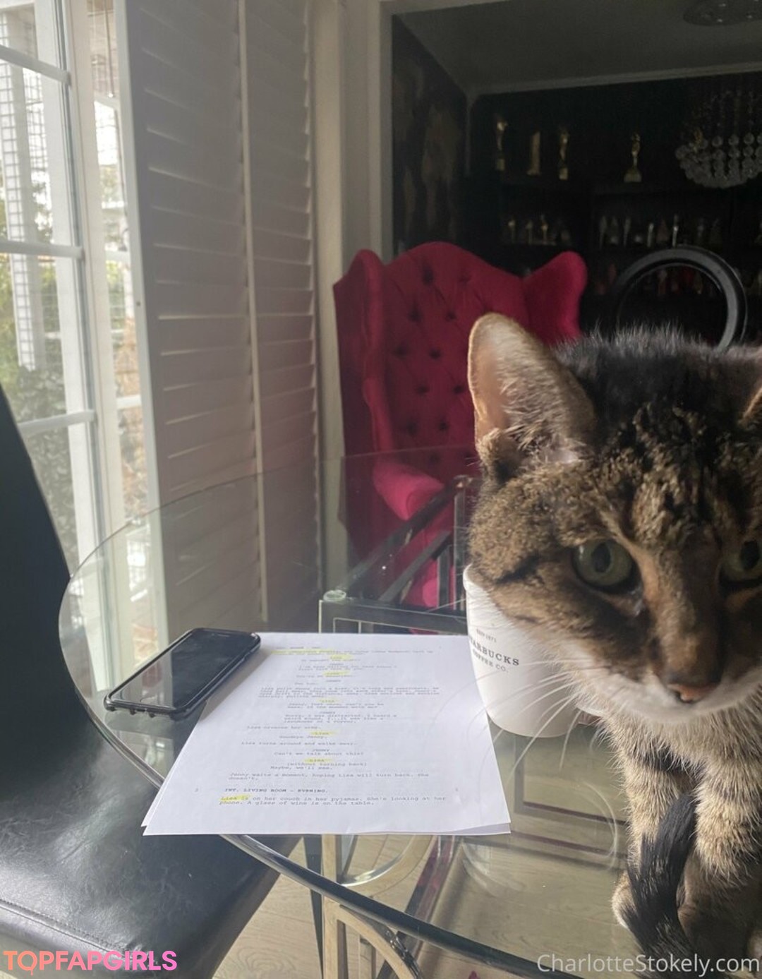 char stokely free model img