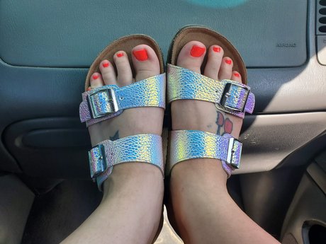 Littlefeet model archive