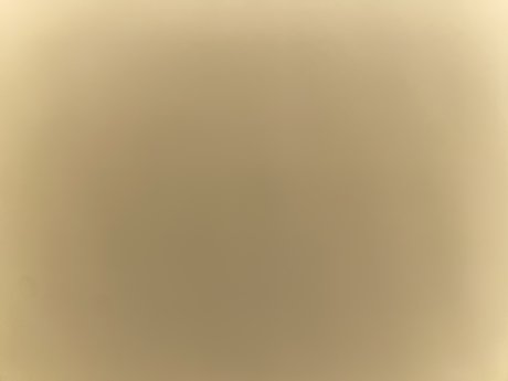 princessst high quality star photo