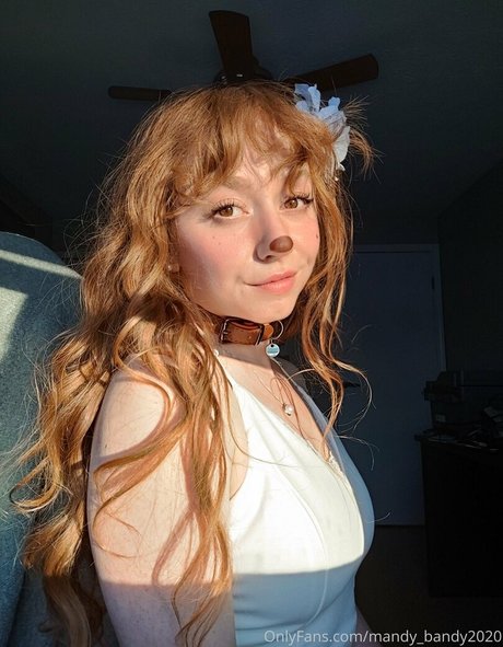 MandyFrizzle star free image