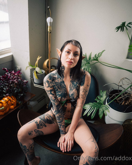 Addox best model gallery