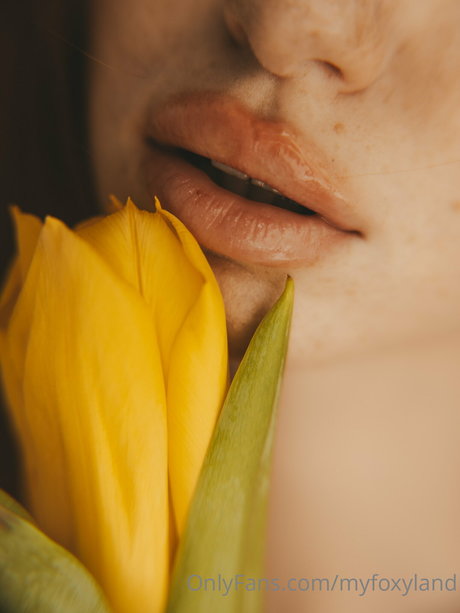 Myfoxyland beautiful pornstar img