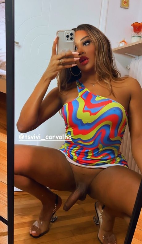 TS Vivi Carvalho sexy actress picture