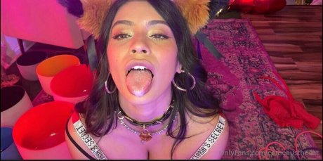 corneliusthecat pornstar high quality gallery