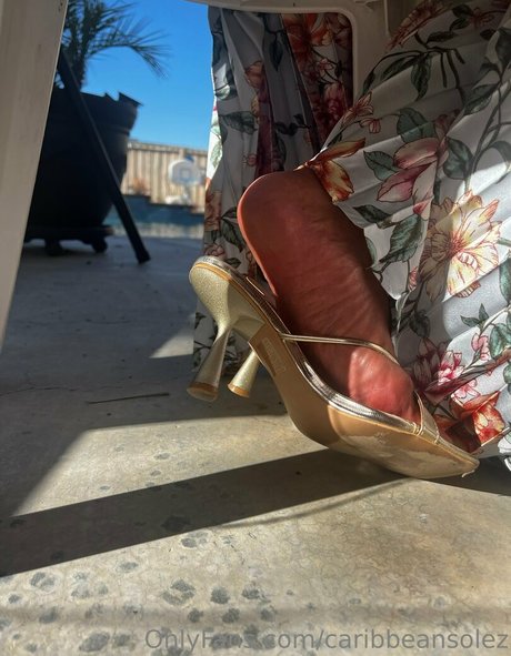 caribbeansolez art pornstar picture