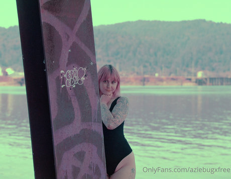 aziebugxfree star image