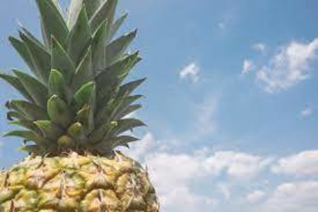 PineappleFlow hot actress galleries