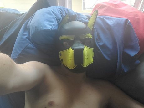 Pup squishy erotic pornstar img