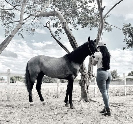 Lismara Moreira nice pornstar photo