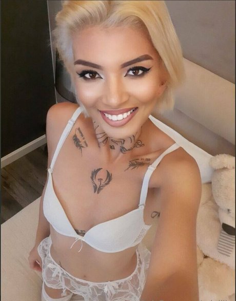 minilily nice star archive