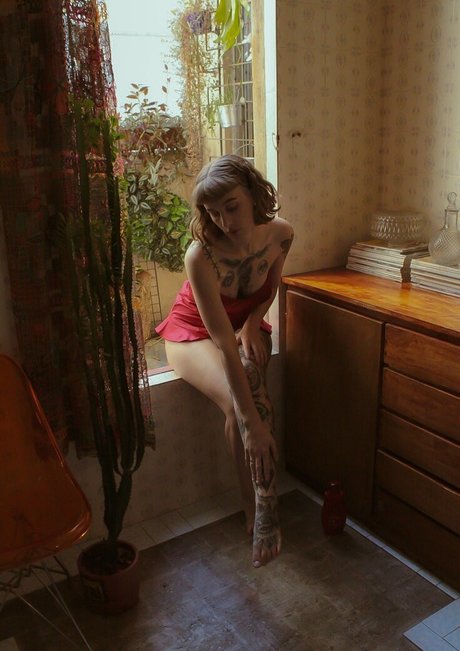 donalaura_ pornstar high quality photo