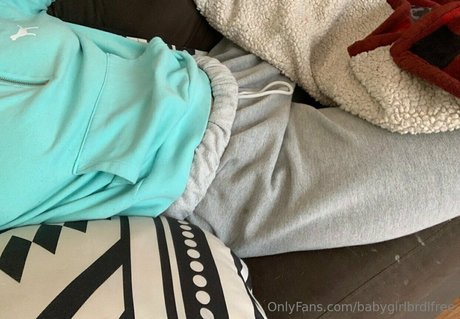 babygirlbrdlfree exclusive pornstar pictures