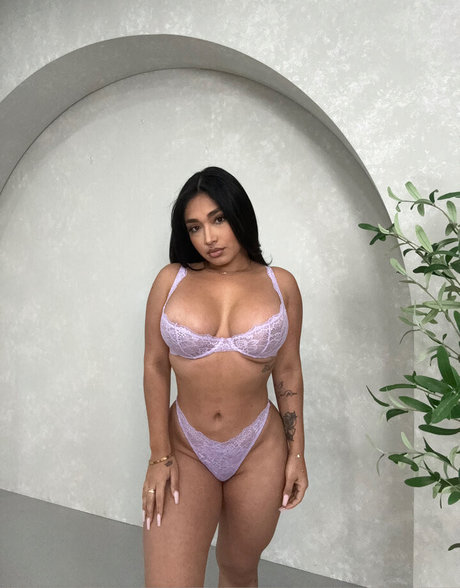 thefanvan model pics