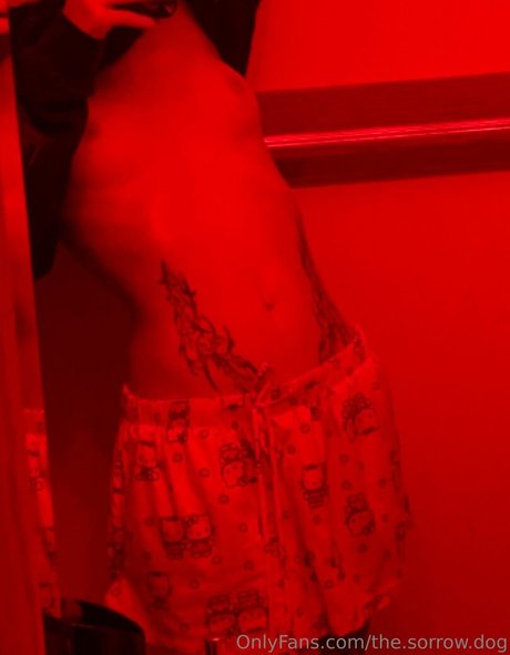 the sorrow dog best model image