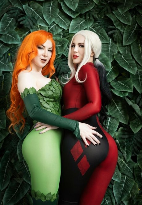 thehaydnporter star img