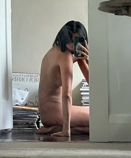 Bridget Gao Hollitt star art pictures