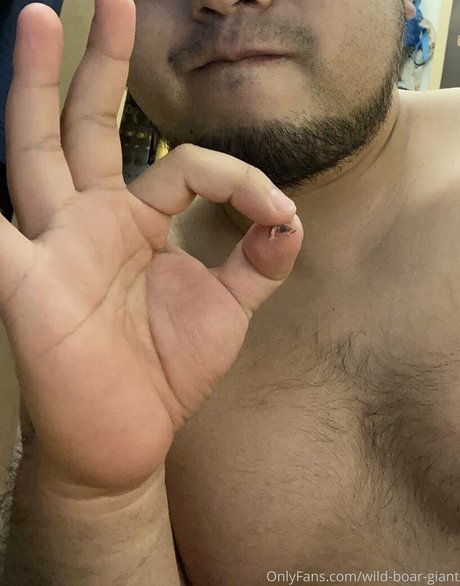 wild boar giant free pornstar img