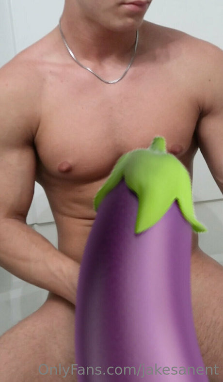 jakesanent pornstar galleries