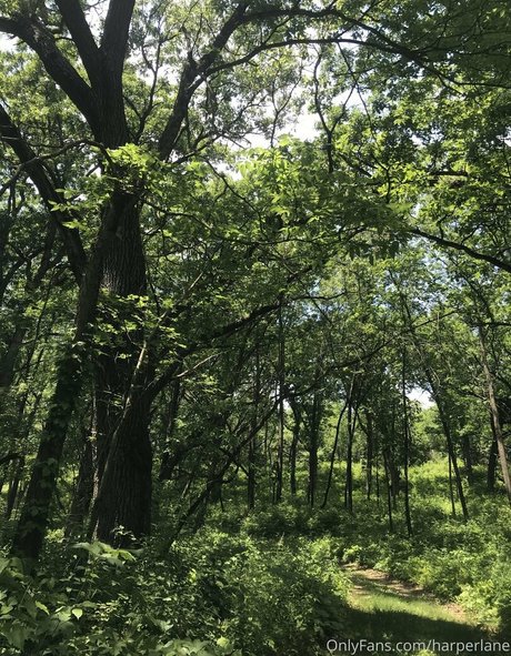 harperlane model high quality galleries