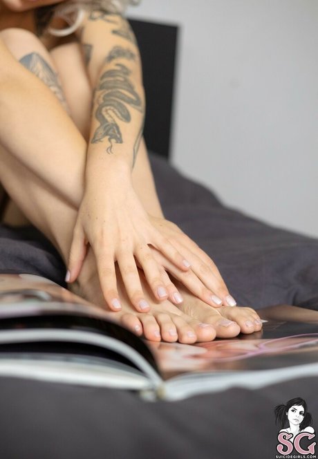 Gaja SG model art gallery