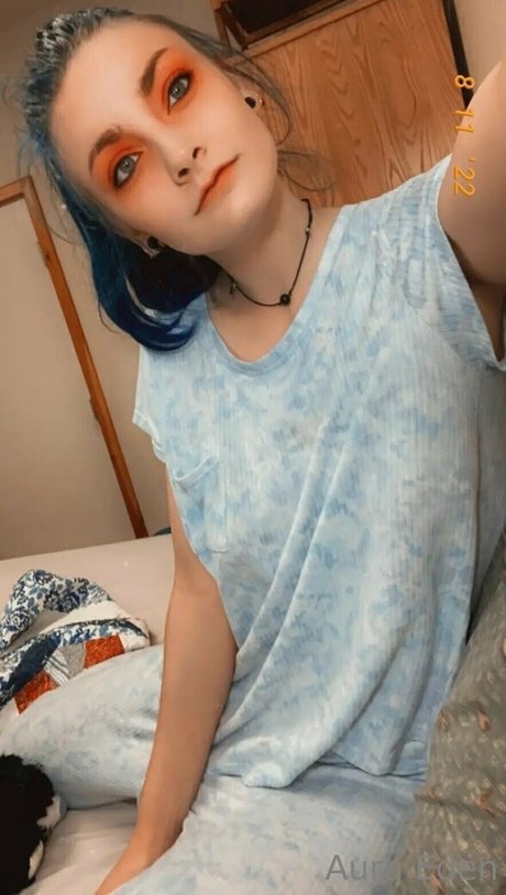 sunflowerseedling art star gallery