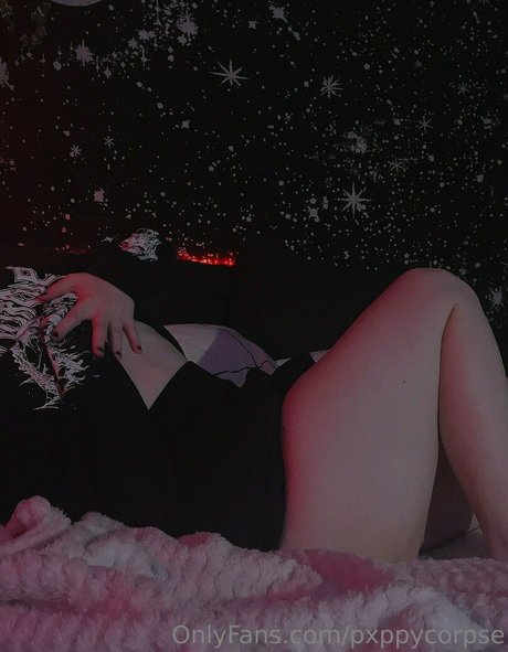 pxppycorpse model top images