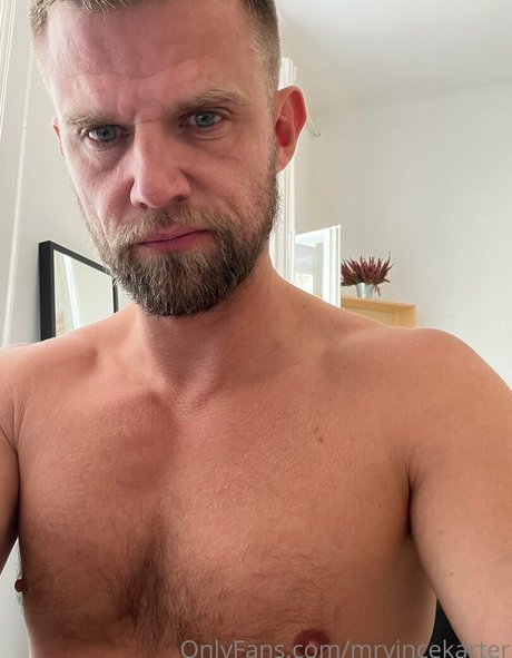 mrvincekarter art star pictures