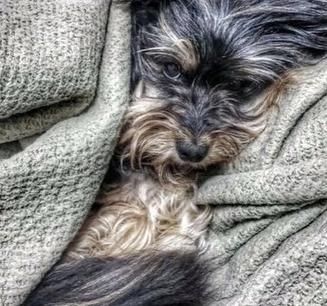 Nofar Froim pornstar art pics