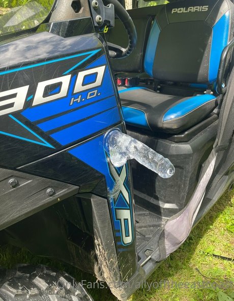 allyofftheeastcoast star free pic