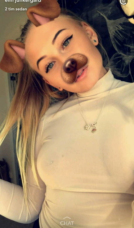 Elin Junkergard beautiful model pic