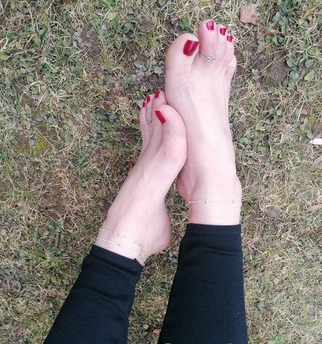 lombardicyara star top picture