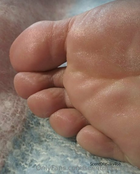 scentofasilkytoe model nice pictures