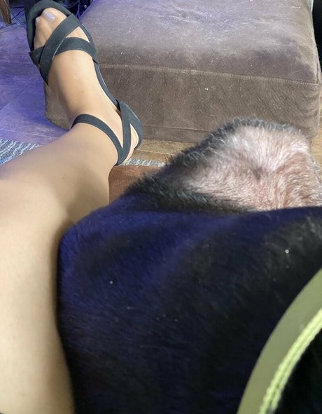 dizzykittenpaws pornstar perfect pic