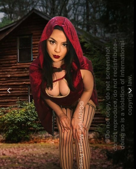 megartron model pretty img