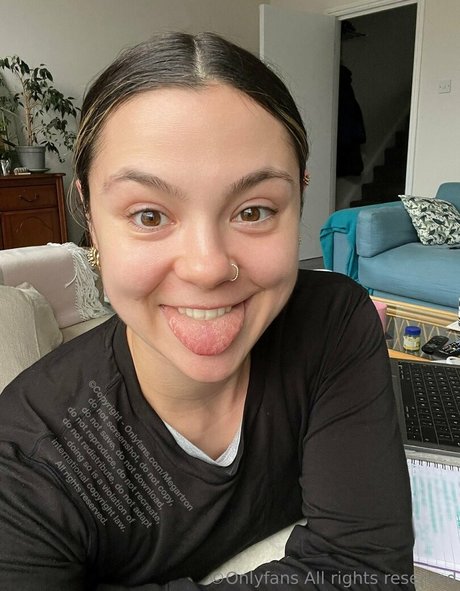 megartron model art img