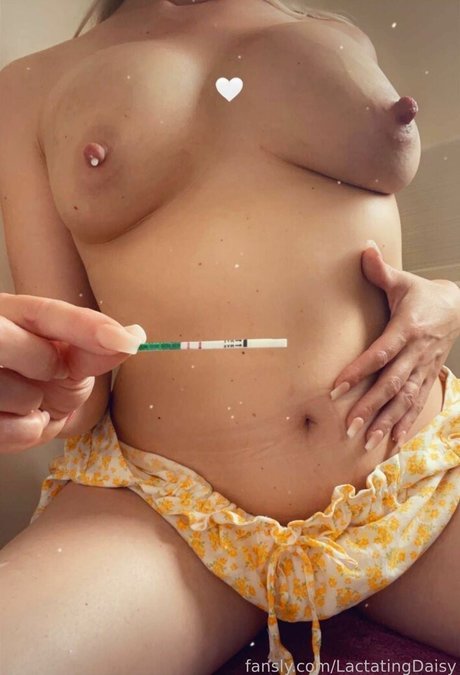 LactatingDaisy star beautiful pictures