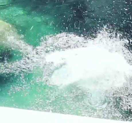 Heather Hemmens sex pornstar archive