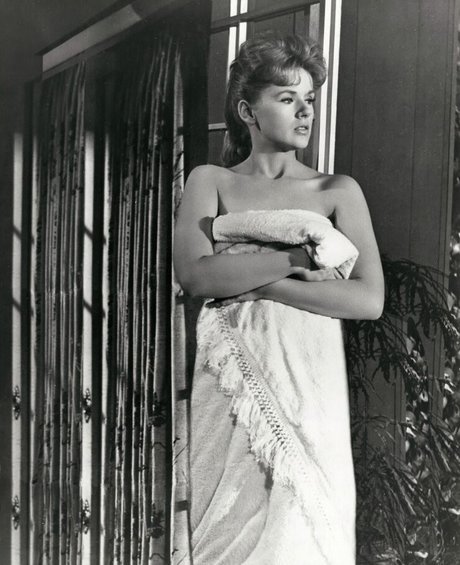 Connie Stevens pornstar naked photo