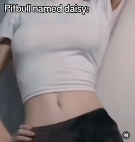 Danny Universe pornstar pretty picture